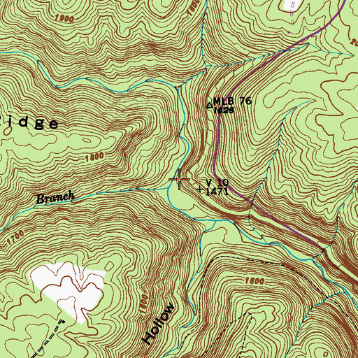 Topographic Map of Maple Branch, TN