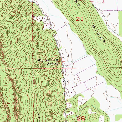 Topographic Map of Wynne Cave Spring, AL