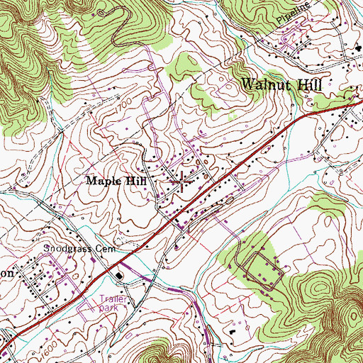 Topographic Map of Maple Hill, TN