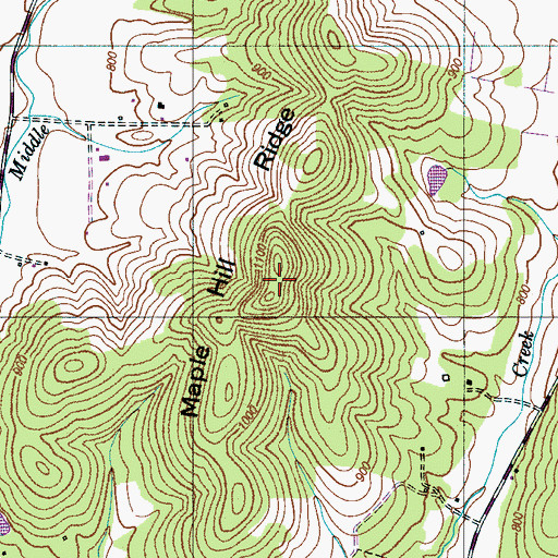 Topographic Map of Maple Hill Ridge, TN