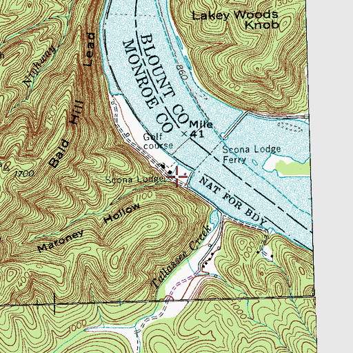 Topographic Map of Maroney Hollow, TN