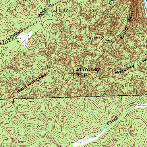 Topographic Map of Maroney Top, TN