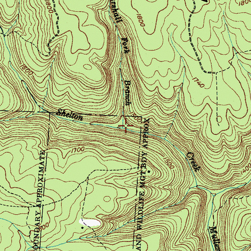 Topographic Map of Marshall Fork Branch, TN
