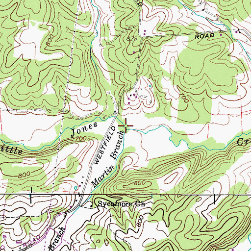 Topographic Map of Martin Branch, TN