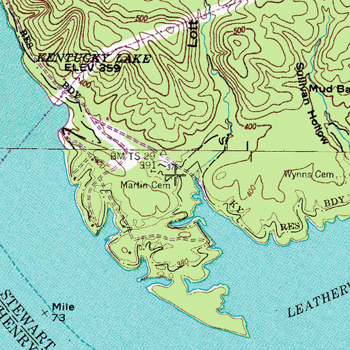 Topographic Map of Martin Cemetery, TN