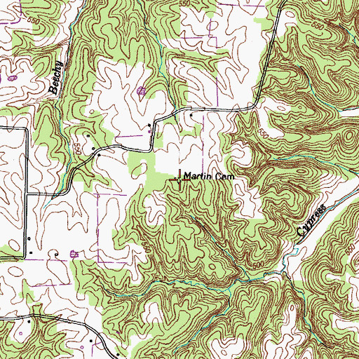 Topographic Map of Martin Cemetery, TN