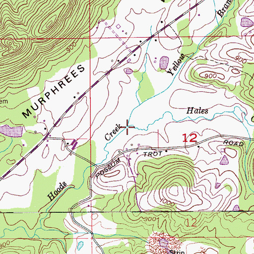 Topographic Map of Yellow Branch, AL