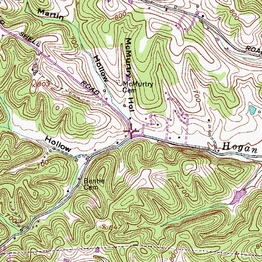 Topographic Map of Martin Hollow, TN