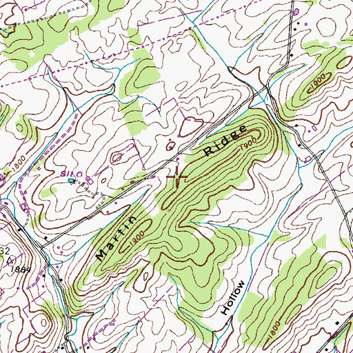Topographic Map of Martin Ridge, TN