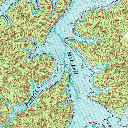 Topographic Map of Martins Branch, TN