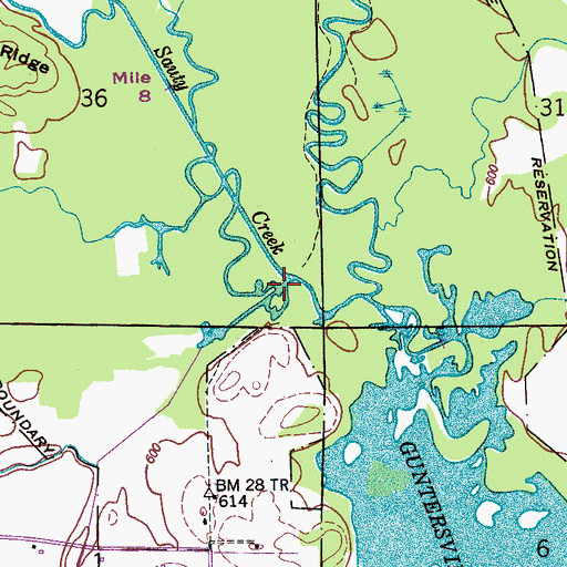Topographic Map of Yellow Branch, AL