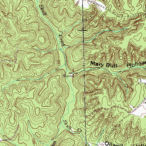 Topographic Map of Mary Bull Hollow, TN