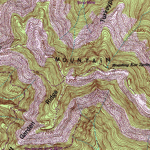 Topographic Map of Massengale Mountain, TN
