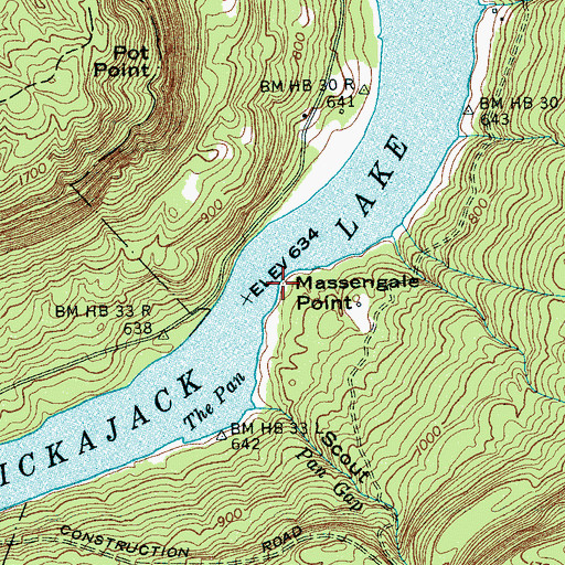Topographic Map of Massengale Point, TN