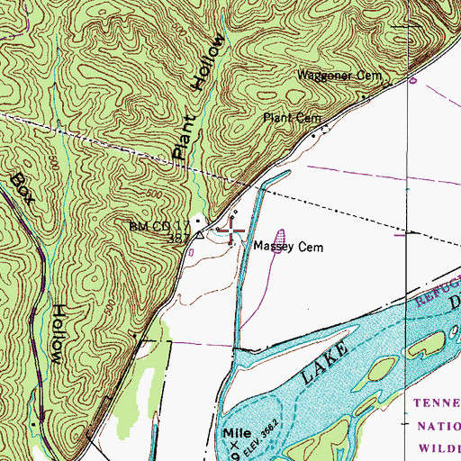 Topographic Map of Massey Cemetery, TN