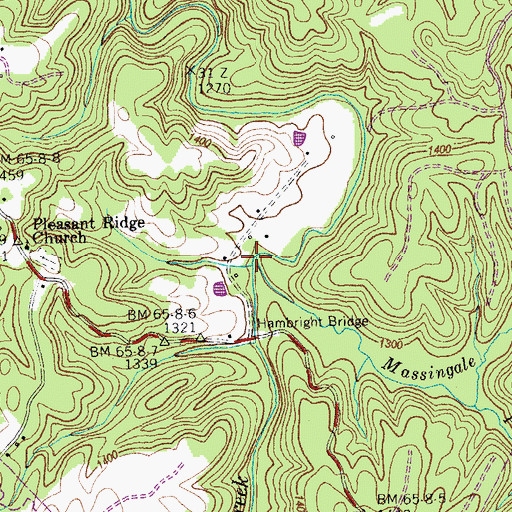 Topographic Map of Massingale Branch, TN