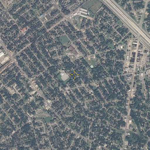 Aerial/Satellite Image of Yellow Pine School, AL
