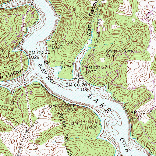 Topographic Map of Mattie Randolph Hollow, TN