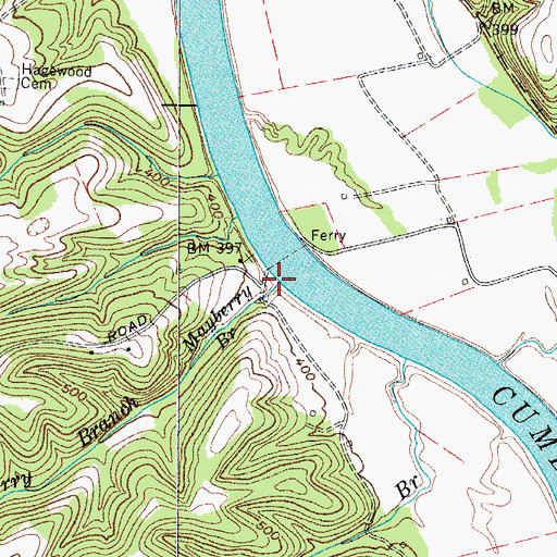 Topographic Map of Mayberry Branch, TN