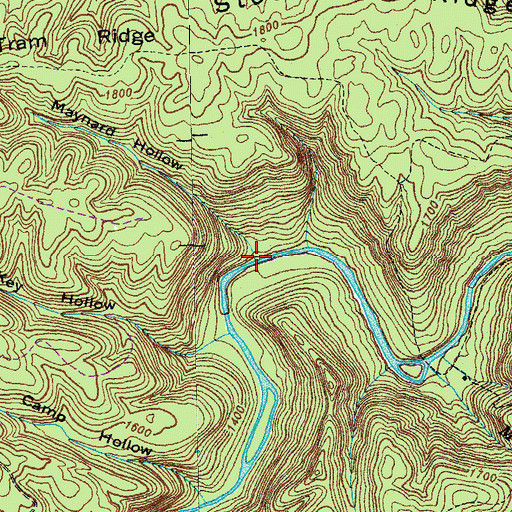 Topographic Map of Maynard Hollow, TN