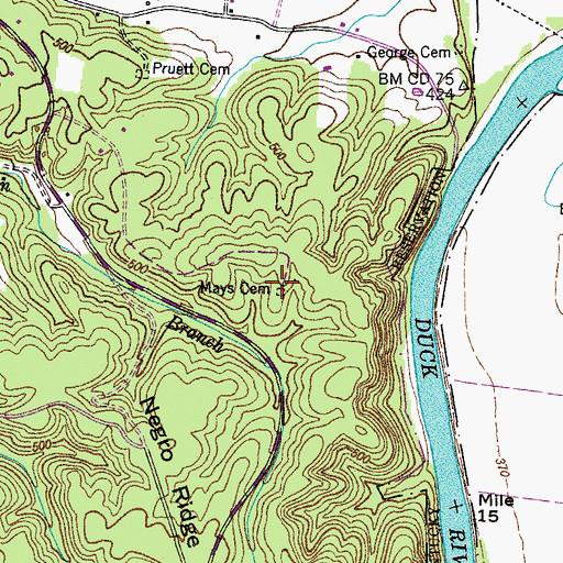 Topographic Map of Mays Cemetery, TN