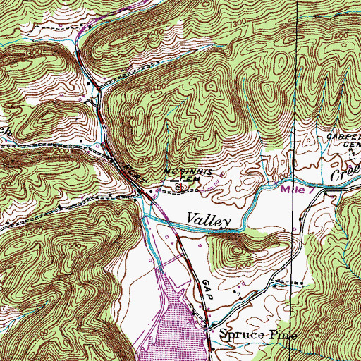 Topographic Map of McGinnis Cemetery, TN