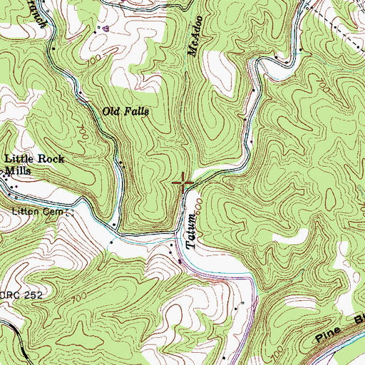 Topographic Map of McAdoo Branch, TN