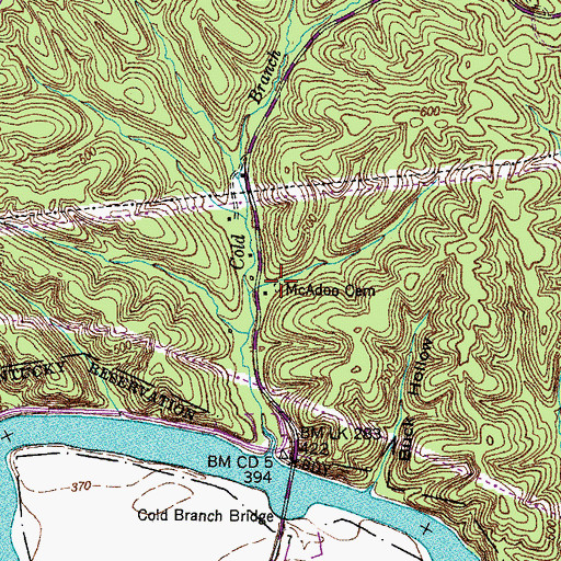 Topographic Map of McAdoo Cemetery, TN