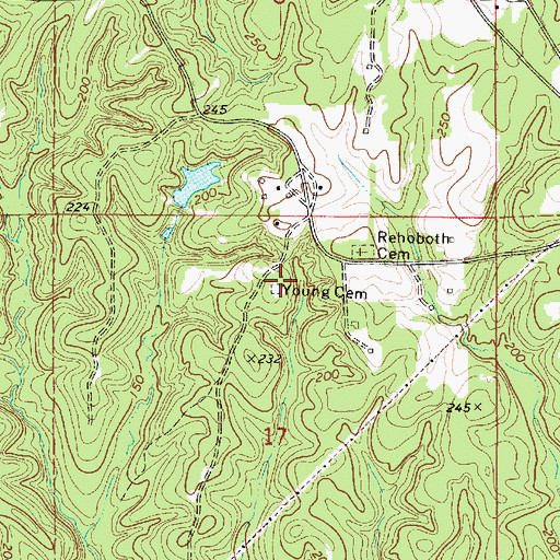 Topographic Map of Young Cemetery, AL