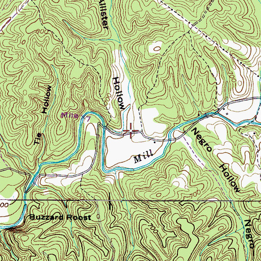 Topographic Map of McAllister Hollow, TN