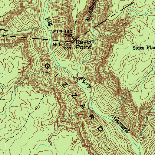 Topographic Map of McAlloyd Branch, TN
