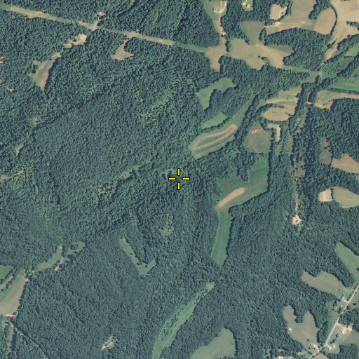 Aerial/Satellite Image of McCaleb Spring, TN