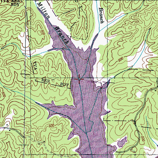 Topographic Map of McCoy Branch, TN