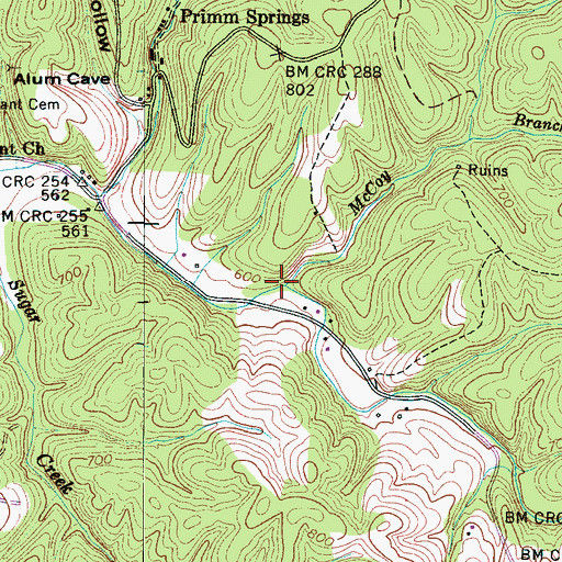 Topographic Map of McCoy Branch, TN