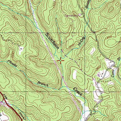 Topographic Map of McCoy Branch, TN
