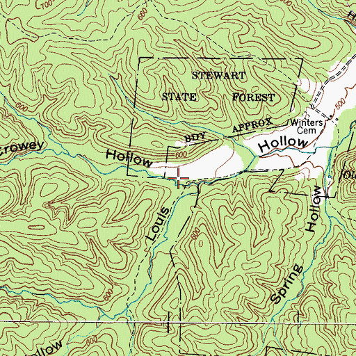 Topographic Map of McCrowey Hollow, TN