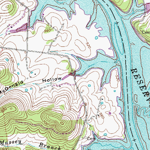 Topographic Map of McDonald Hollow, TN