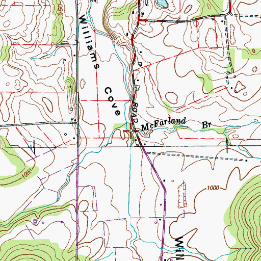 Topographic Map of McFarland Branch, TN