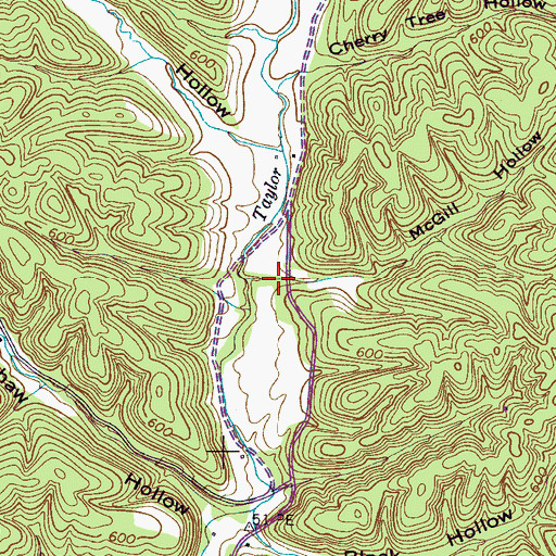 Topographic Map of McGill Hollow, TN