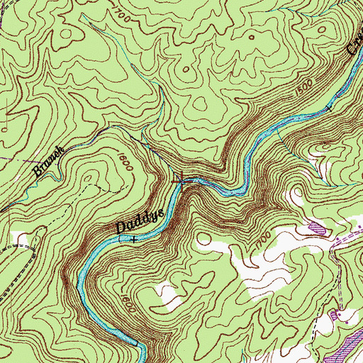 Topographic Map of McGinnis Branch, TN