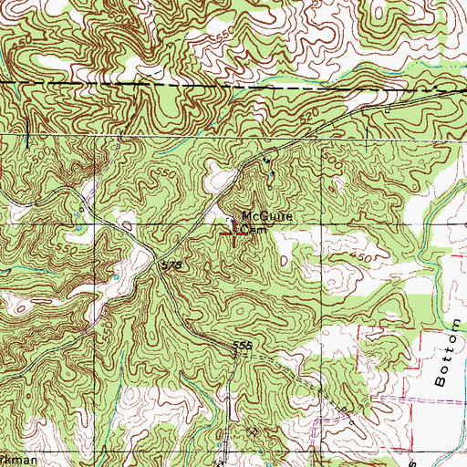 Topographic Map of McGuire Cemetery, TN