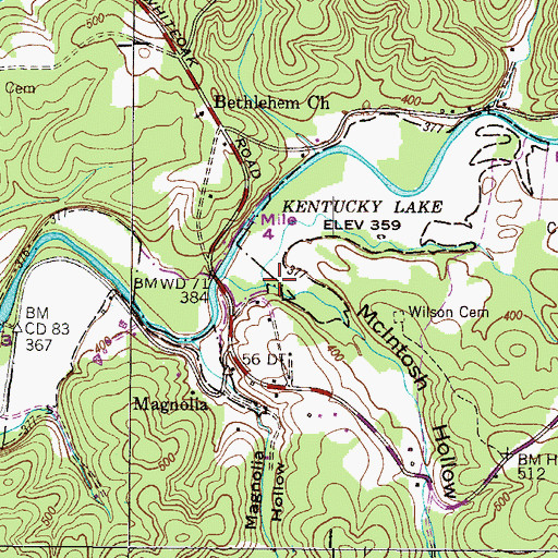 Topographic Map of McIntosh Hollow, TN