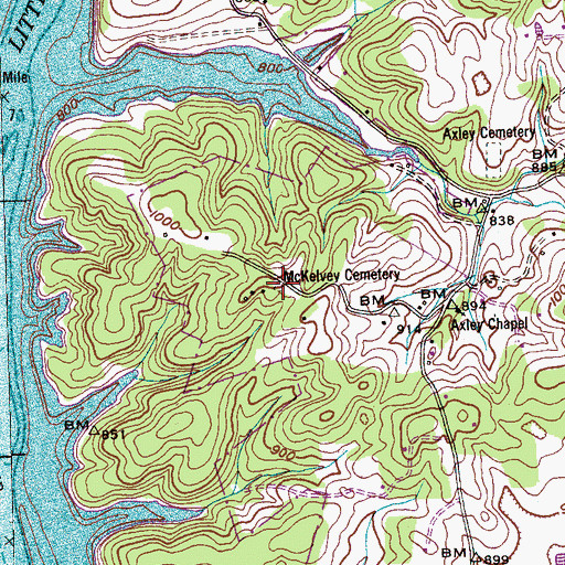 Topographic Map of McKelvey Cemetery, TN