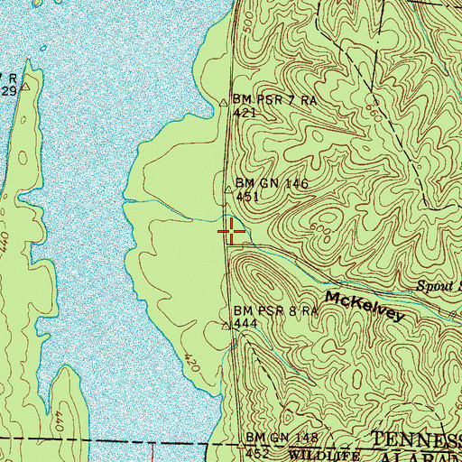 Topographic Map of McKelvey Hollow, TN
