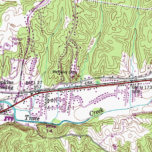 Topographic Map of McKelvy Cemetery, TN