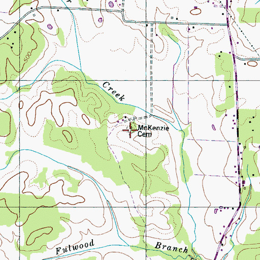 Topographic Map of McKenzie Cemetery, TN