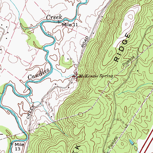 Topographic Map of McKenzie Spring, TN