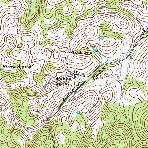Topographic Map of McKing Spring, TN