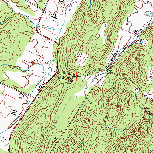 Topographic Map of McKinney Cemetery, TN