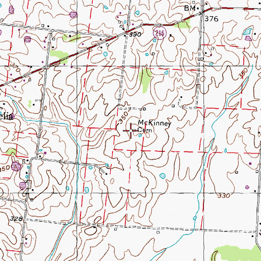 Topographic Map of McKinney Cemetery, TN